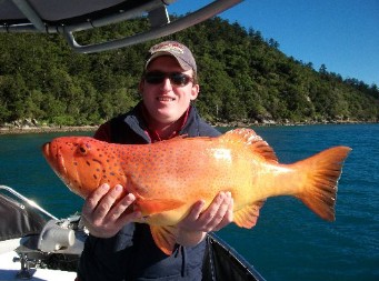 Gone Fishing by Coral Sea Fishing Charters Airlie Beach - Carnarvon Accommodation