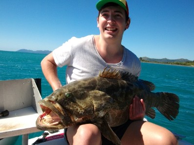 Gone Fishing By Coral Sea Fishing Charters Airlie Beach - thumb 4
