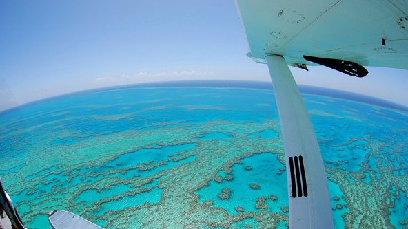 Air Whitsunday Day Tours - Geraldton Accommodation