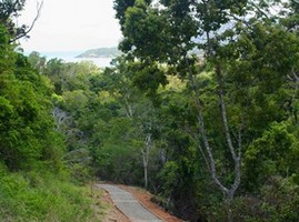 The Airlie Creek Track - thumb 1